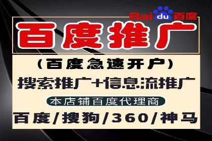 解析SEM主管在竞争激烈市场中的生存之道——以成功案例为鉴